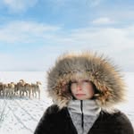 tiinaitkonen profile picture
