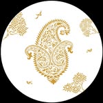 tilfi_banaras profile picture
