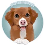 tilley.the.toller profile picture