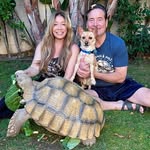 tillygthetortoise profile picture