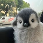 timapple299 profile picture