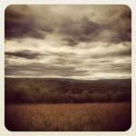times_like_thieves profile picture