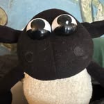 timmy.skipped.farm profile picture