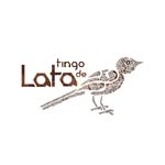 tingodelata profile picture