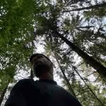 tinocriso profile picture
