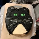 tinos_the_cat_mom profile picture
