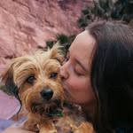 tiny.wayfinders profile picture