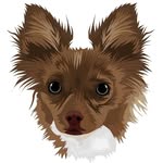 tinycrumble profile picture