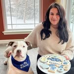 tippo.thehippo profile picture