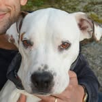 tito.bobito profile picture