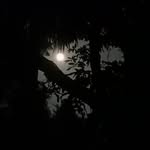to_the.moon7512 profile picture