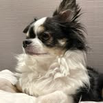 tobes99 profile picture