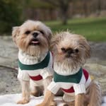 tobie_and_tilly profile picture