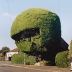 tobycoulson profile picture