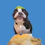 tobythegentleman profile picture