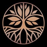 tocamadera profile picture