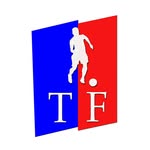 todavidafutsal profile picture