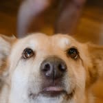 todayatthepark profile picture