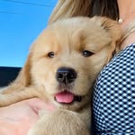 toddbudzyn profile picture