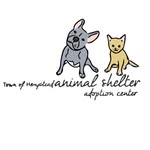 tohanimalshelter profile picture