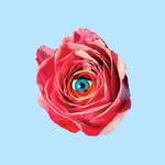 toiletpaper_beauty profile picture