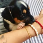 tokioantonio profile picture