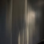 tomgoldblum profile picture