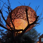 tomharestudio profile picture