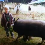 tom_m_adams profile picture