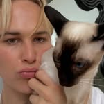 tommy.dorfman profile picture
