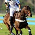 tommypolo1 profile picture