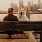 tommyton profile picture