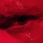 tomnafazenda profile picture