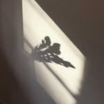 tomokojima__ profile picture