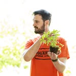 tomthefoodchampion profile picture