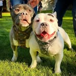 tonkalittlep_theworld_is_yours profile picture
