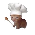 topann1342 profile picture