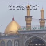 toqee_rsyeda profile picture