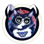 torcthecat profile picture