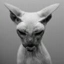 torianlewin profile picture
