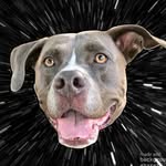 tornado.watch profile picture