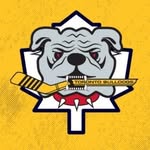 torontobulldogs profile picture