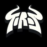 torosdelavega profile picture