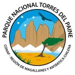 torresdelpainenp profile picture