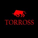 torross.crafted profile picture