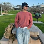 torystrauss profile picture