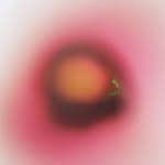 toshiakikitaoka profile picture