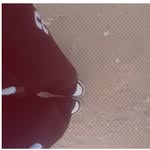 tota_9257 profile picture