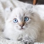 totally_tater profile picture