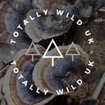 totallywilduk profile picture